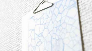 Display Your Last Few Remaining Physical Photos in Style with Photo Hanger